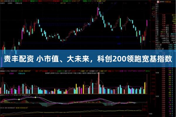 责丰配资 小市值、大未来,科创200领跑宽基指数