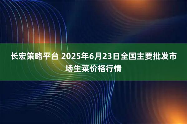 长宏策略平台 2025年6月23日全国主要批发市场生菜价格行情