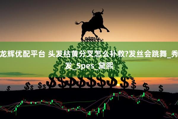 龙辉优配平台 头发枯黄分叉怎么补救?发丝会跳舞_秀发_Spes_黛熙